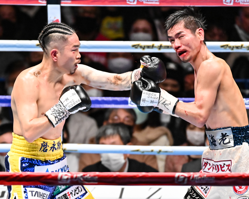 井岡が3-0判定でV4に成功。ジャブが的確に福永の顔面を捉えた(写真・山口裕朗)
