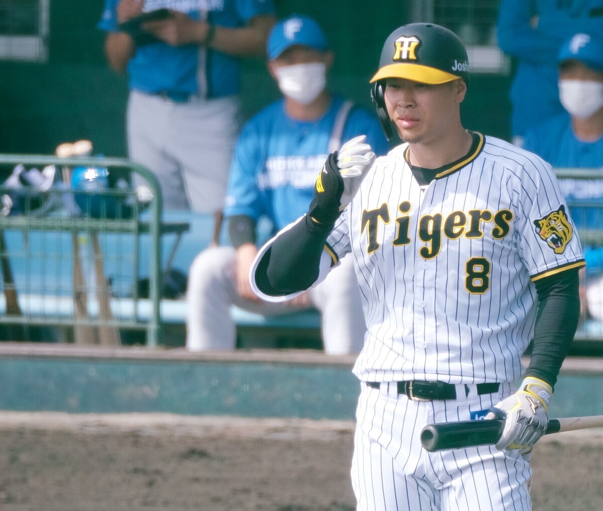 阪神の佐藤輝明は7回のチャンスに凡退。9回に三振後、バットを放り投げた(資料写真・黒田史夫)